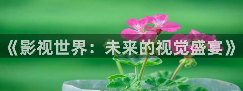 飞马影视电影
