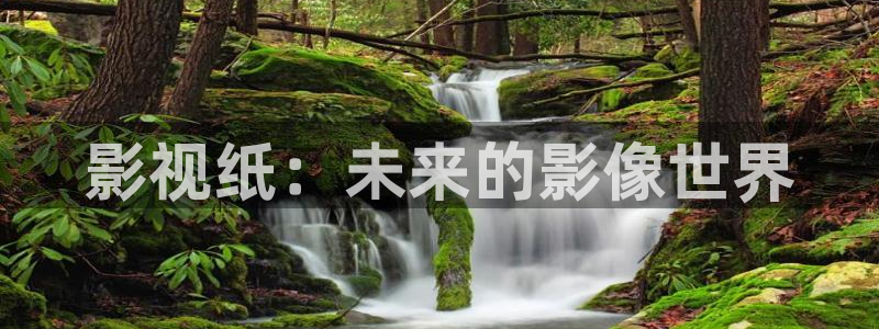飞马影视：影视纸：未来的影像世界