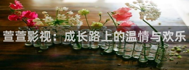 飞马影院免费下载