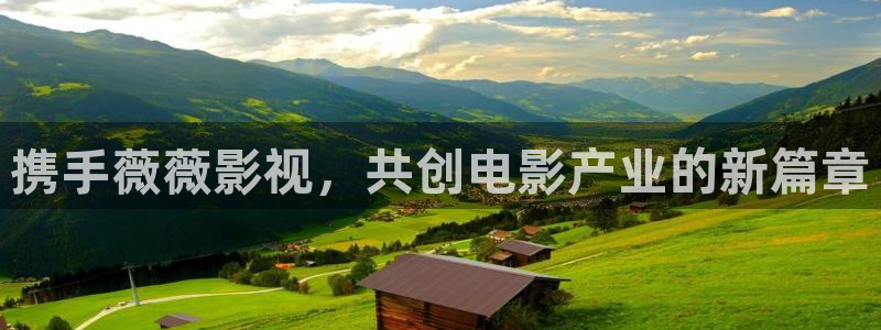 飞马良子影视有限公司：携手薇薇影视，共创电影产业的新篇章