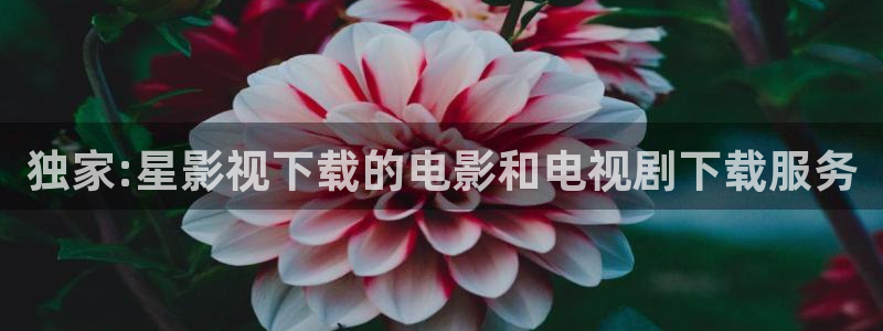 飞马影视电影